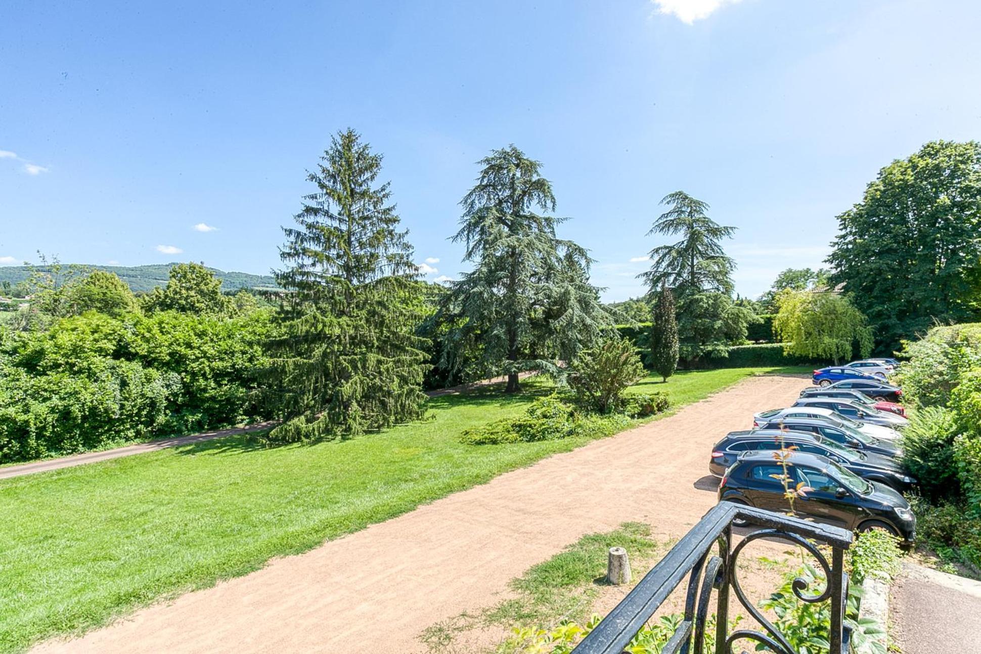 Sejourner Au Chateau De La Roue Grand Appartement Lissieu Exteriör bild