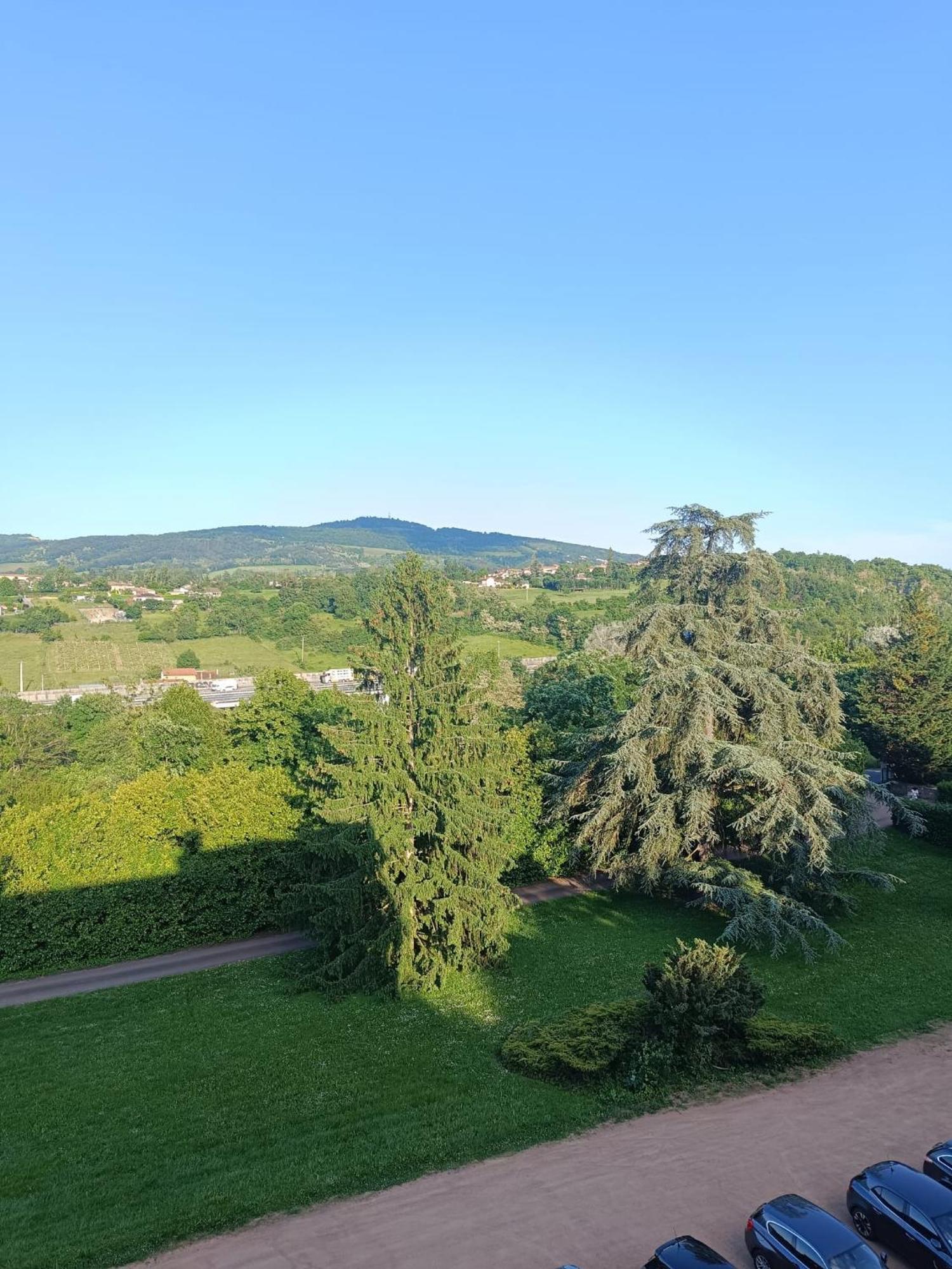 Sejourner Au Chateau De La Roue Grand Appartement Lissieu Exteriör bild