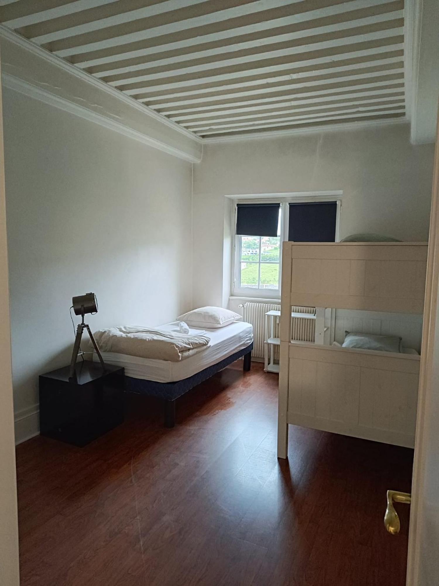 Sejourner Au Chateau De La Roue Grand Appartement Lissieu Exteriör bild
